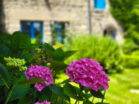 Manoir Des Douets Fleuris