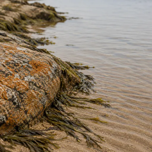 Vivre la traversée entre Larmor Baden et l’Île aux Moines dans le golfe du Morbihan