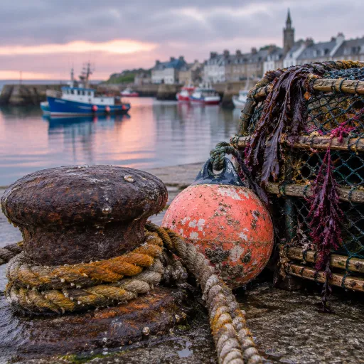 Roscoff, cité maritime de caractère au cœur de la Bretagne nord
