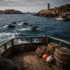 Une croisière pour voir les dauphins en Bretagne : entre phares, îles et métiers de la mer