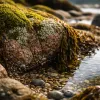 Idées de visites avec enfants en Bretagne : escapades inspirantes pour toute la famille