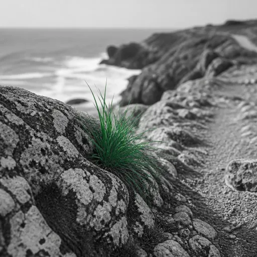 Côte sauvage de Quiberon à pied : le sentier qui longe l'Atlantique sans le perdre de vue