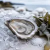 Un jour de marché à Camaret sur Mer : saveurs de la presqu’île de Crozon
