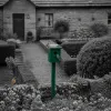 Voyager au fil des oiseaux des jardins en Bretagne intérieure